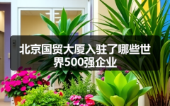 北京国贸大厦入驻了哪些世界500强企业