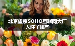 北京望京SOHO互联网大厂入驻了哪些