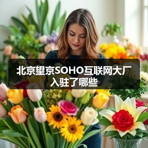 北京望京SOHO互联网大厂入驻了哪些
