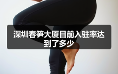 深圳春笋大厦目前入驻率达到了多少