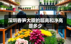 深圳春笋大厦的层高和净高是多少