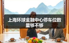 上海环球金融中心停车位数量够不够