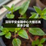 深圳平安金融中心大楼总高度多少层
