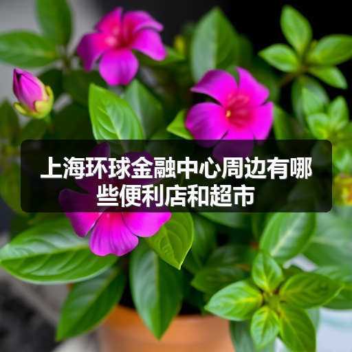 上海环球金融中心周边有哪些便利店和超市 正文配图