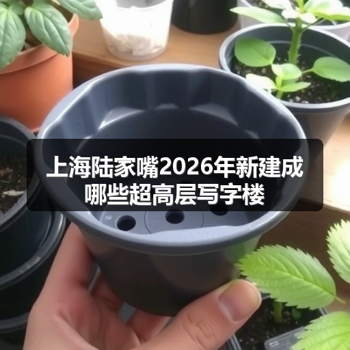 上海陆家嘴2026年新建成哪些超高层写字楼 正文配图