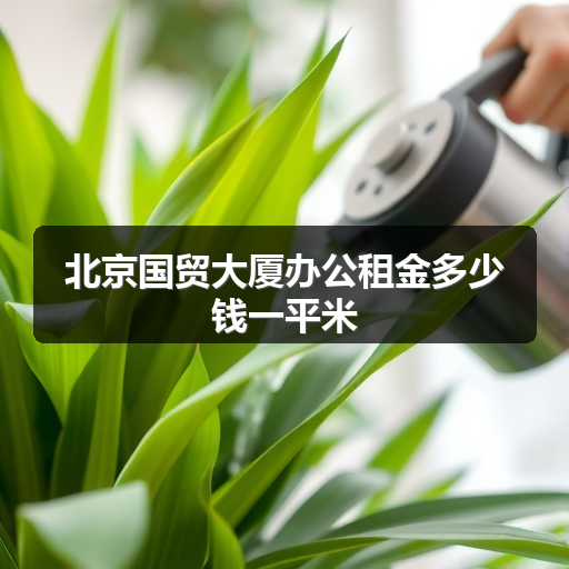 北京国贸大厦办公租金多少钱一平米 正文配图