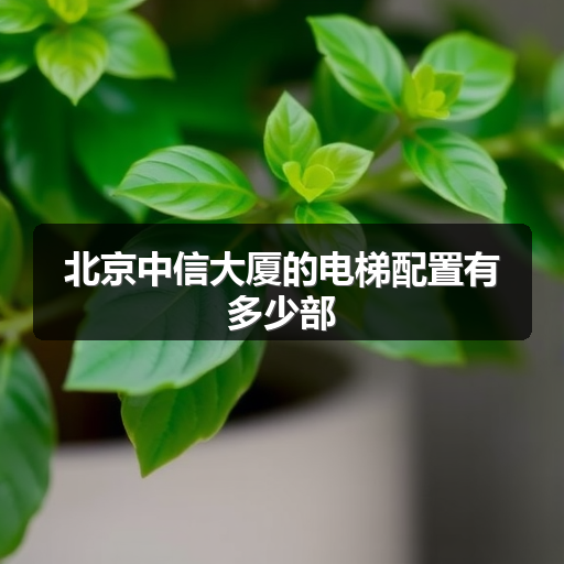 北京中信大厦的电梯配置有多少部 正文配图