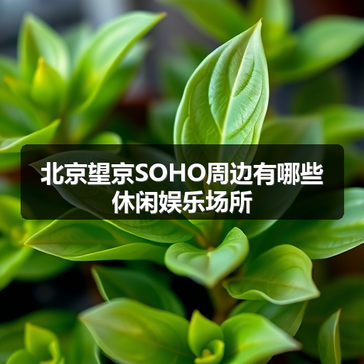 北京望京SOHO周边有哪些休闲娱乐场所 正文配图