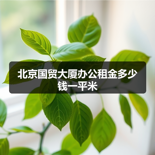 北京国贸大厦办公租金多少钱一平米 正文配图